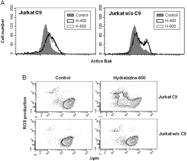 Induction of mitochondrial events by hydralazine in caspase-9 deficient cells.