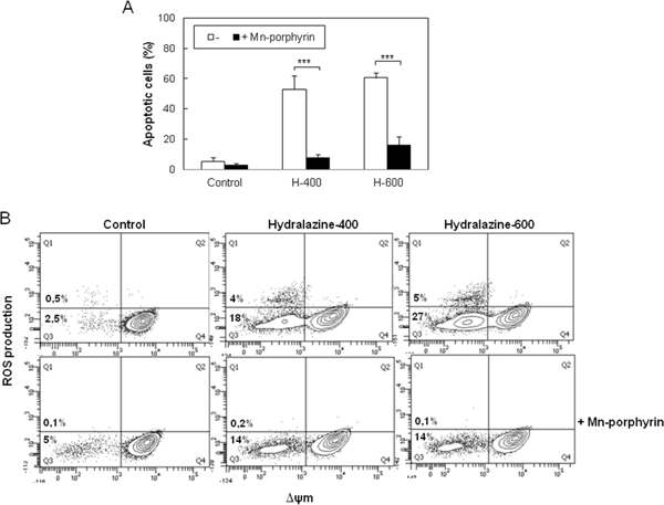 ROS scavenging prevents hydralazine-induced apoptosis in leukemic T cells.