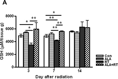 Oxidative stress induced by radiation.