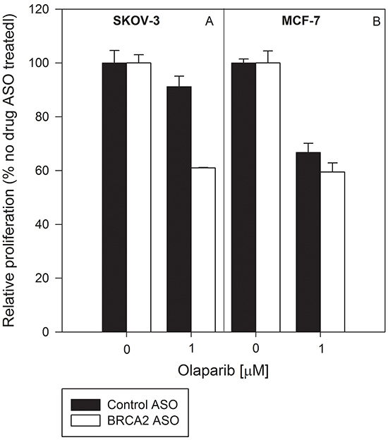 Combined BRCA2 ASO and olaparib treatment decreases the proliferation of both HRR-deficient and HRR-proficient cells.