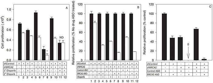 Combined BRCA2 ASO and olaparib treatment prevents outgrowth of resistant cells in a tumor cell population heterogeneous for HRR-proficiency.