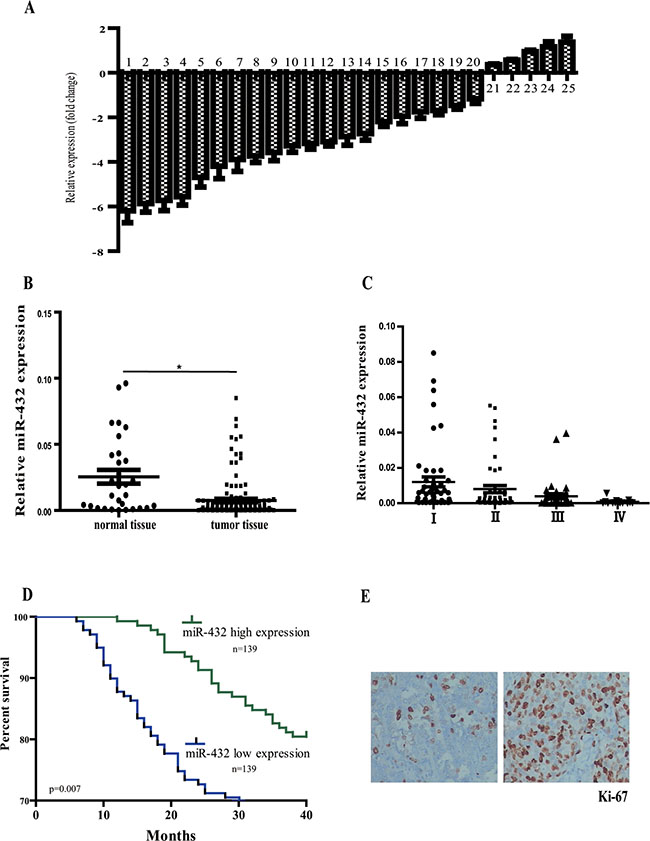 Relative miR-432 expression levels in LAD tissues and its clinical significance.