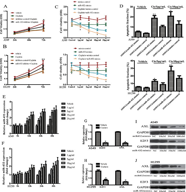 Effect of miR-423 on the sensitivity of A549 and H1299 cells to cisplatin.