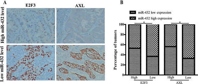 Clinical associations of miR-432 with E2F3 and AXL expression.