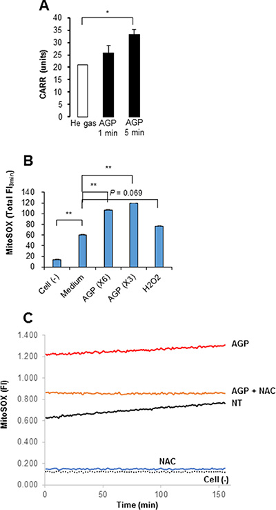 Generation of ROS by AGP irradiation and AGP-activated medium.