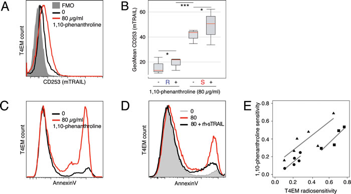 1,10-Phenanthroline increases mTRAIL expression level and induces T4EM lymphocytes apoptosis.