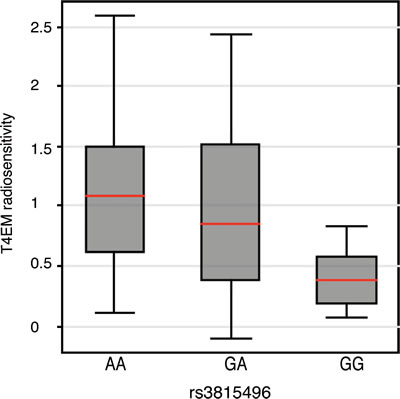 T4EM lymphocyte radiosensitivity monitored by rs3815496 genotype.