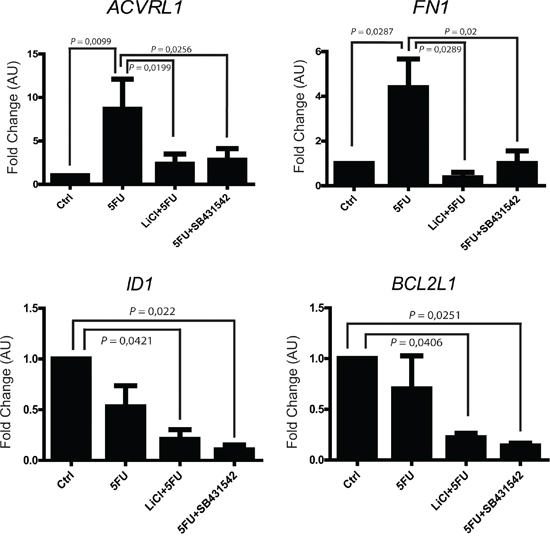 5FU modulates the mRNA expression of selected TGF-&#x03B2; target genes in chemoresistant colon carcinoma cells.