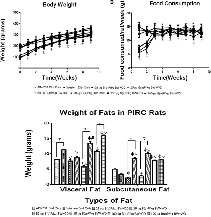 A. Mean weekly body weights and B. food consumption of PIRC rats from AIN-76 diet and Western diet groups.