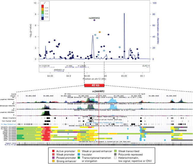 Regional association plot of SNP rs2660852 from 515 CUP patients and 6227 healthy controls with functional annotation based on the ENCODE data.