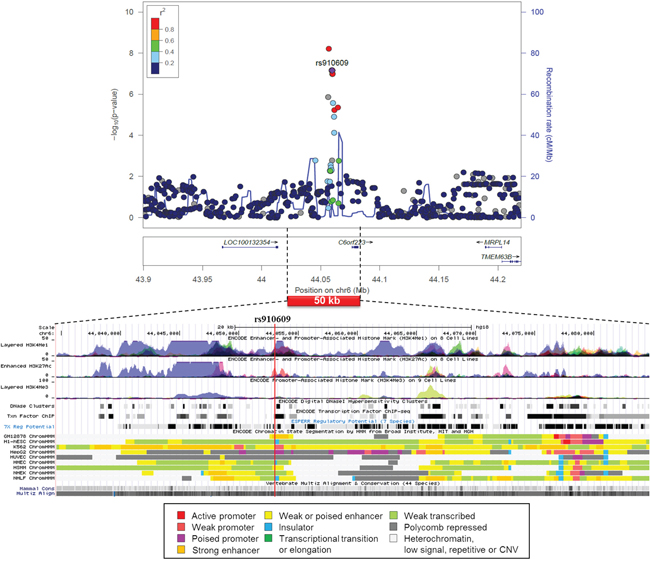 Regional association plot of SNP rs910609 from CUP patients with liver metastasis and controls with functional annotation based on the ENCODE data.