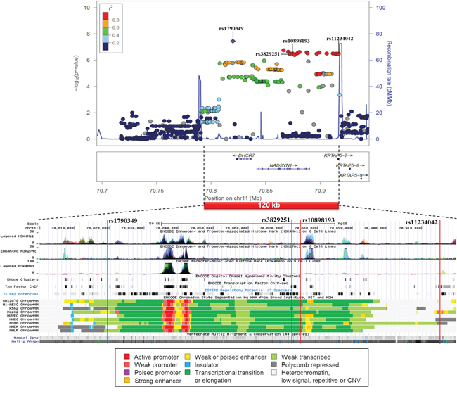 Regional association plot of the 4 SNP cluster on chromosome 11 from CUP patients with liver metastases and controls with functional annotation based on the ENCODE data.