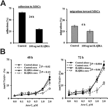 Inhibition of IL1&#x03B2; suppresses adhesion and chemotaxis of leukemia cells to MSCs and abolishes chemoprotection of MSCs to leukemia cells.