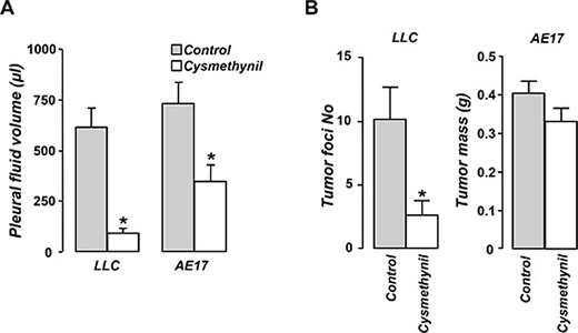Cysmethynil inhibits pleural fluid accumulation in adenocarcinoma and mesothelioma-induced MPE and reduces adenocarcinoma pleural dissemination.