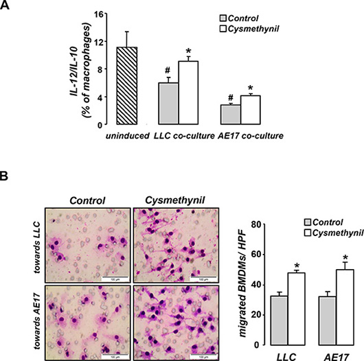 Cysmethynil inhibits tumor-driven M2 polarization (A) and migration (B) of macrophages in vitro.
