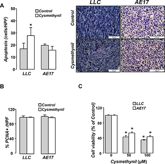 Cysmethynil induces tumor cell apoptosis in vivo and reduces tumor cell viability in vitro.