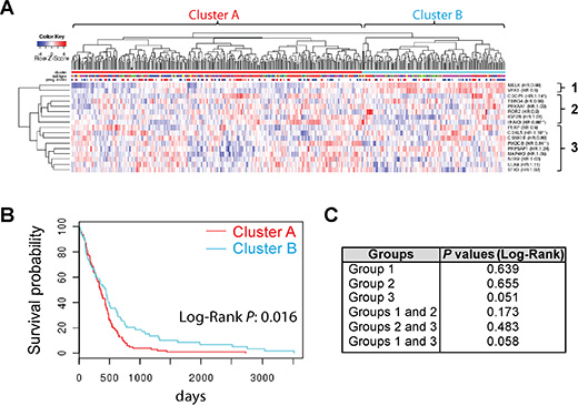 A group of SKGs presents a novel prognostic signature for GBM.