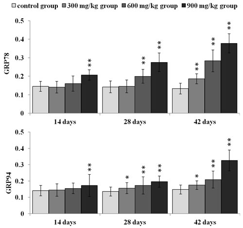 Changes of GRP78 and GRP94 protein expression levels at 14, 28 and 42 days.