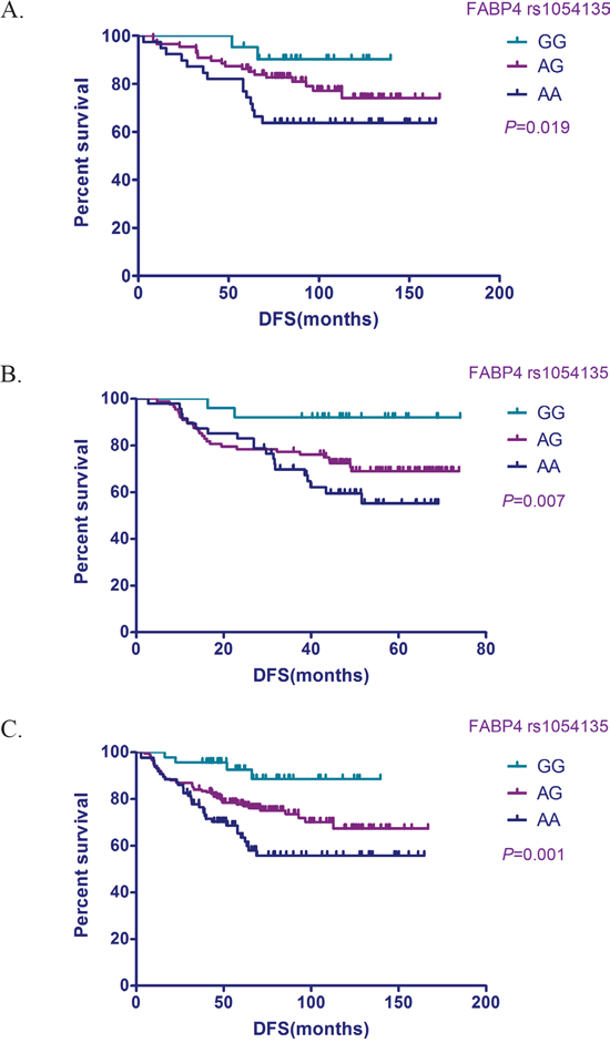 Relationship between the FABP4 SNP rs1054135 and DFS in TNBC patients.