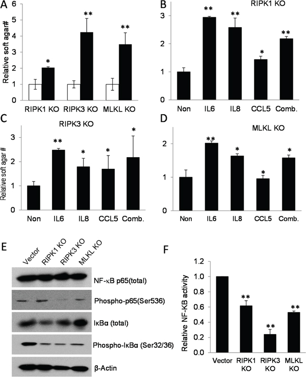 Cytokines regulated by necroptotic genes play key roles in sustaining tumor cell growth.