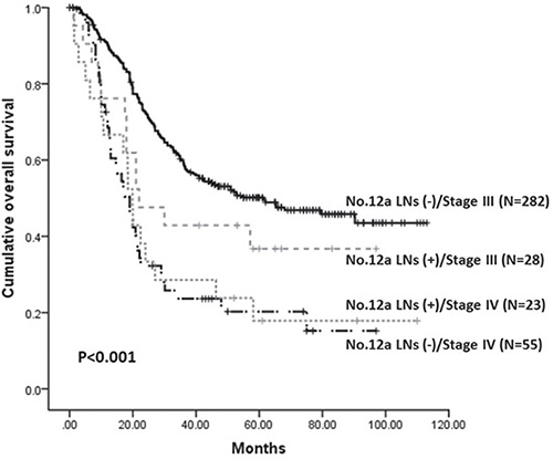 Kaplan-Meier survival analysis of patients with stage III/IV stratified by No.12a LNs metastatic status (P &#x003C; 0.001).