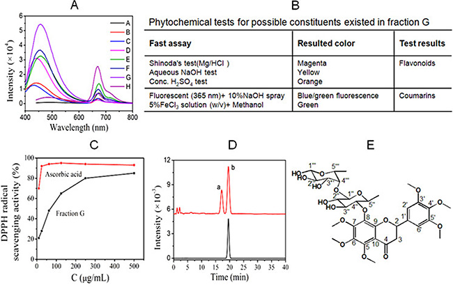 Phytochemical analysis of main components in fraction G following chromatographic separation.