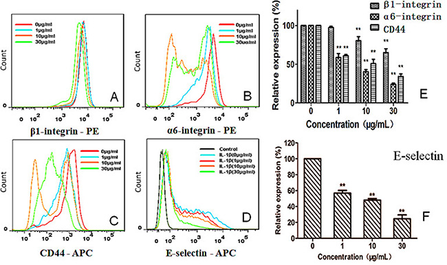 Concentration-dependent effect of G on expression of integrin &#x03B2;1 (CD29), integrin &#x03B1;6 (CD49f), and CD44 on HT29 cells (A&#x2013;C, E), as well as expression of E-selectin (CD62E) on HUVECs (D, F) **P &#x003C; 0.01, compared with the control.