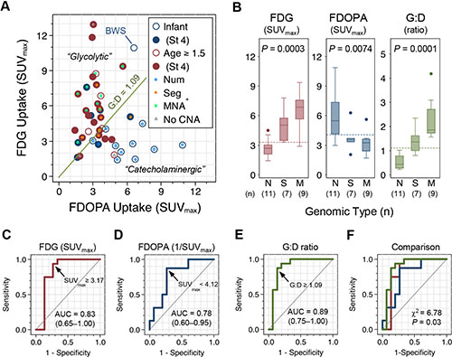 FDG and FDOPA uptake by primary NB tumors and their association with genomic types.
