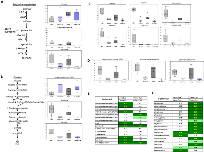 The effect of everolimus on small molecule composition involving metabolites in the KpB mouse model.