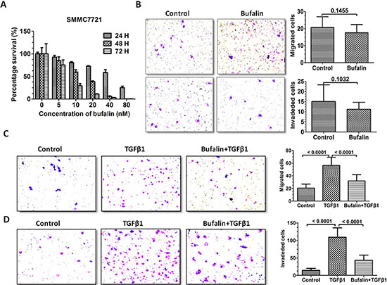 Bufalin inhibits TGF-&#x03B2;1-induced invasion and migration of SMMC7721 cells.