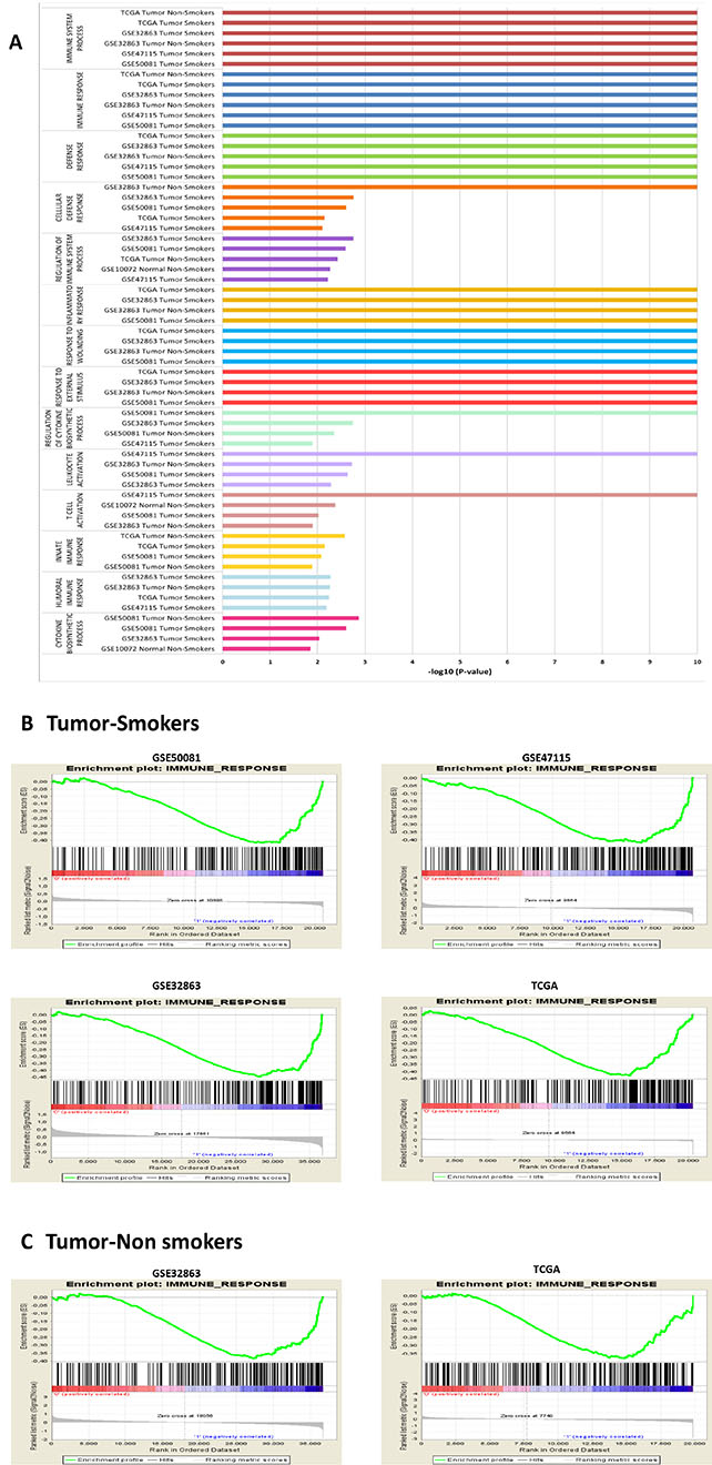 Immune gene sets enrichment more overrepresented in women.