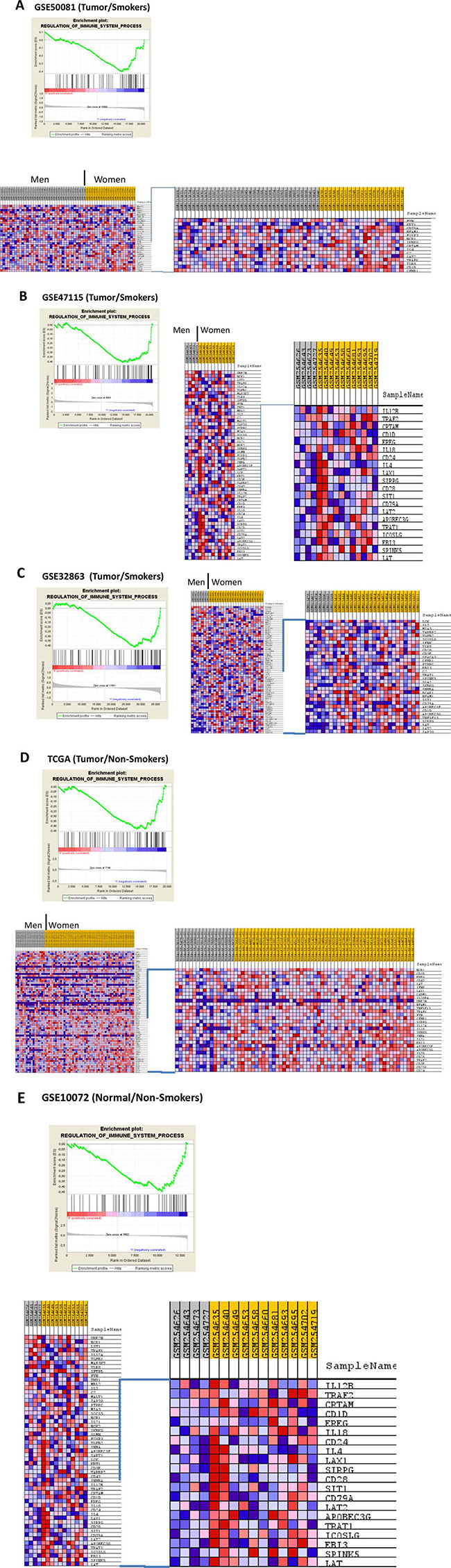 Enrichment profile and heatmaps generated with comparing the biological process: &#x201C;REGULATION_OF IMMUNE_SYSTEM_PROCESS&#x201D; between NSCLC in men vs NSCLC in women.