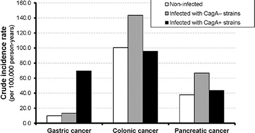 Crude incidence rate (per 100,000 person-years) of gastric, colonic and pancreatic cancer by H. pylori infection and CagA serostatus at baseline.