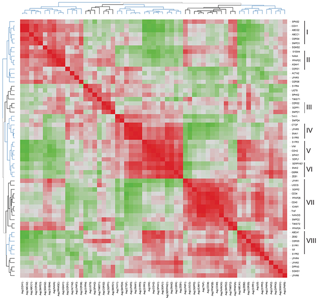 Heat map representing the correlation matrix for EMT- and sphingolipid-associated genes.