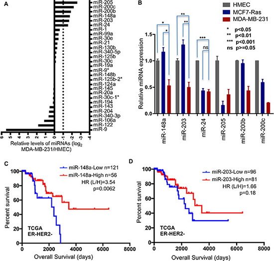 Low expression of miR-148a correlates with poor breast cancer patient prognosis.