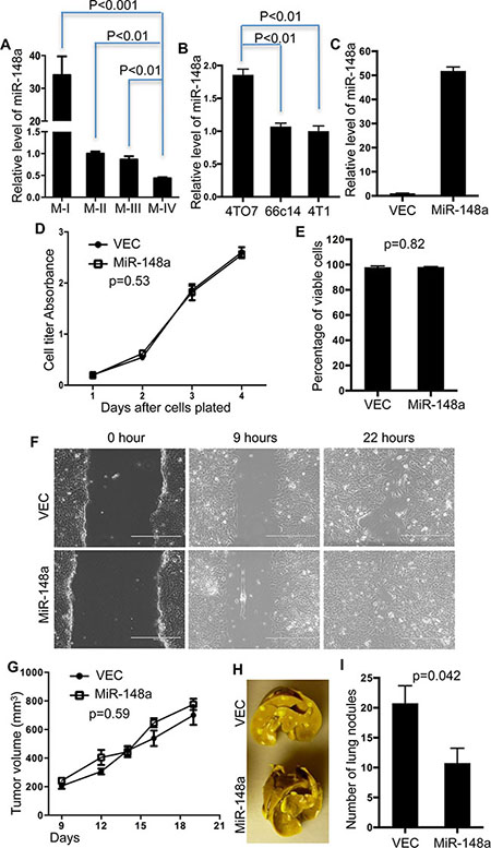 Overexpression of miR-148a suppresses 4T1 lung metastasis.