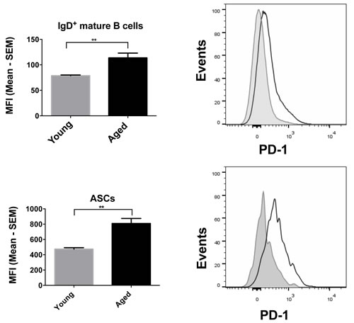 PD-1 expression on mature B cells and ASCs.