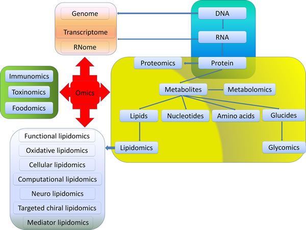 Relationships among different omics.