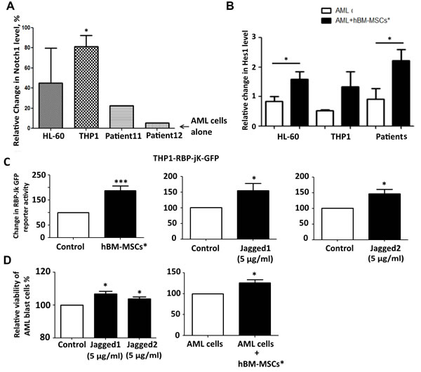 Modulation of Notch expression and activation in AML and hBM-MSCs* upon co-culture.