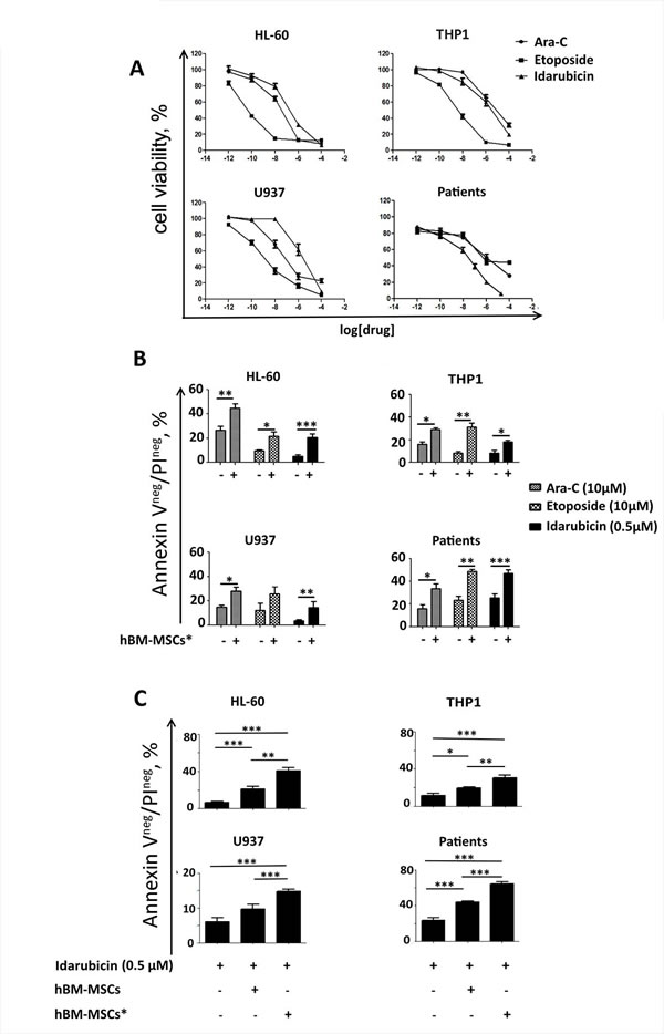 hBM-MSCs* promote AML chemo-resistance.