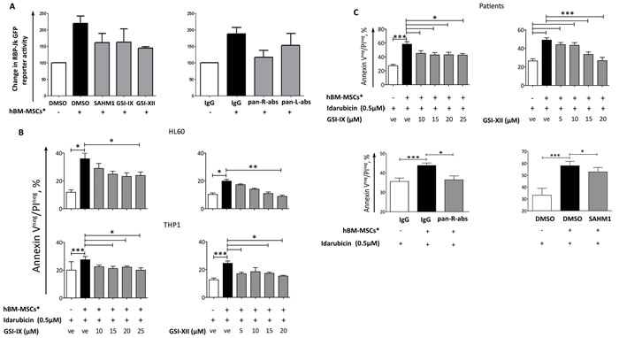 Notch inhibitors abrogate hBM-MSC*-induced chemoresistance.