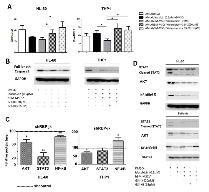 Notch inhibition controls Bax/Bcl-2 ratio and protein levels of Akt, NF-kB and Stat3.