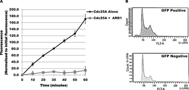 Cdc25A acetylation modulates its phosphatase activity.