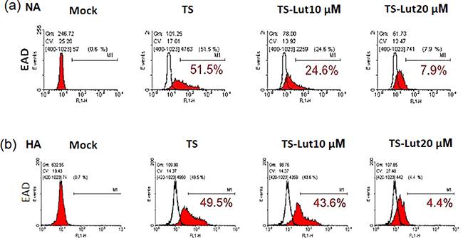 Luteolin decreases the populations of EAD-expressing cells.
