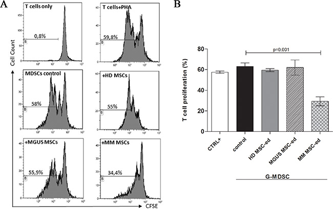 MM MSC educated G-MDSC are immunosuppressive.