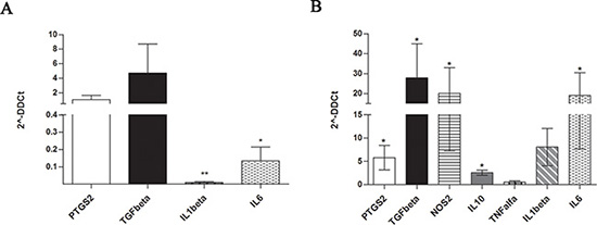 Expression of immune-modulatory factors by MM-MSC at Time 0 (A) and after 48 h of co-culture with PBMC (B).