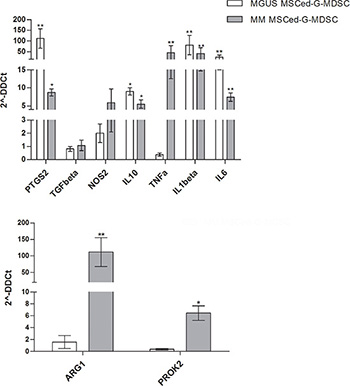 Expression of immune-modulatory and pro-angiogenic factors by MSCed-G-MDSC.