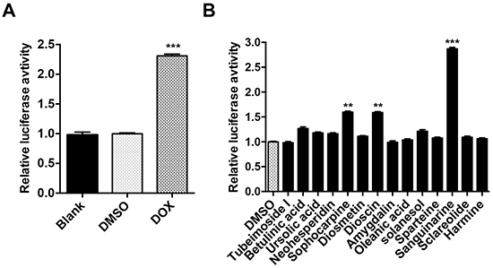 Validation of cFluc reporter and drug screen.