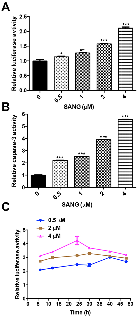 SANG induced apoptosis in a dose- and time-dependent manner.