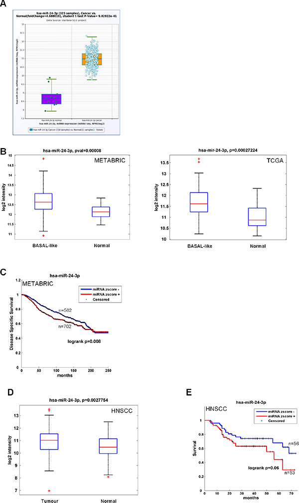 Clinical association of miR-24 with survival and recurrence in cancer patients.